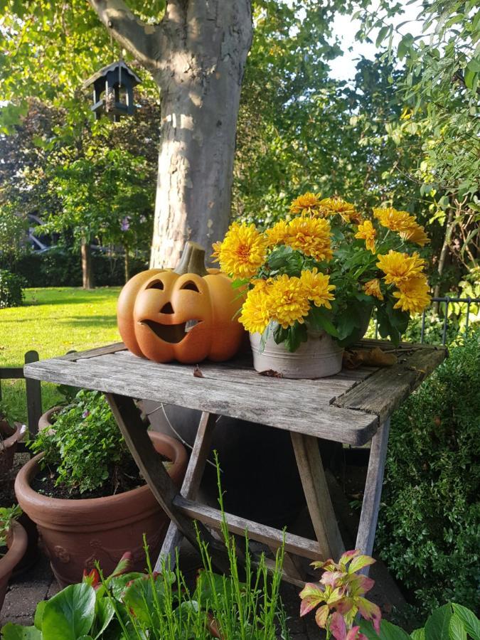 B&B Le Jardin NeerNeerpelt Kültér fotó
