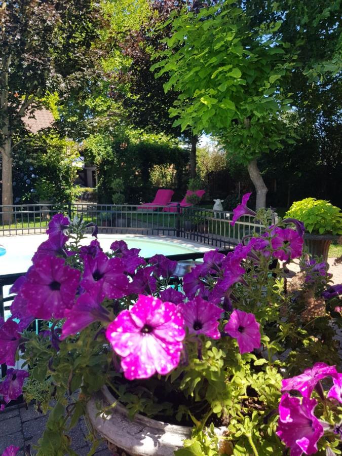 B&B Le Jardin NeerNeerpelt Kültér fotó