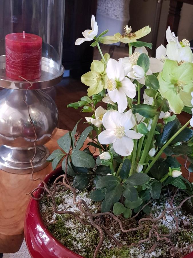 B&B Le Jardin NeerNeerpelt Kültér fotó